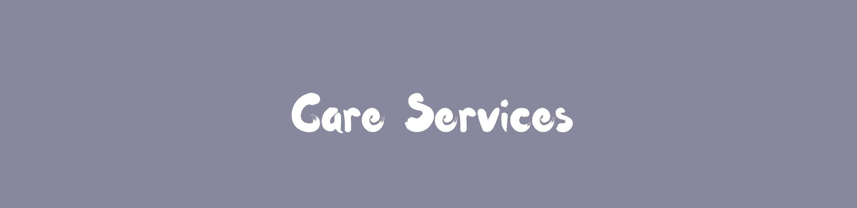 care services